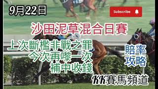 2024年9月22日沙田泥草混合日赛(賠率攻略)