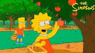 [NoZoom] The Simpsons Season 28 Ep.03 - | The Simpsons 2024 Full Episodes | NoCuts NoZoom #1080p