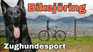 Zughundesport, Bikejöring mit kurzer Anleitung für Beginner