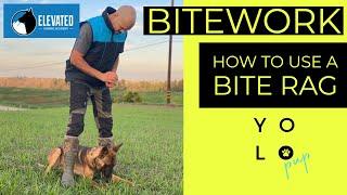 HOW TO USE PUPPY BITE RAG | BITEWORK BASICS