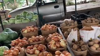 Vegetable Market去美国菜农经营的蔬菜批发市场买菜大部分比沃尔玛的新鲜还便宜30%！