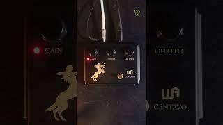 Warm Audio Centavo Blackout Limited Edition - Tone Tailors