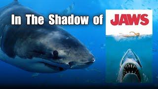 In The Shadow of JAWS: A New Perspective of Sharks