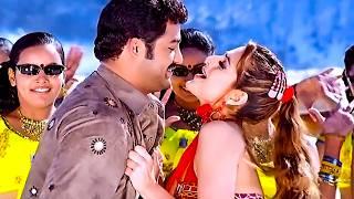 Muddula Gopala Video Song | Narasimhudu Movie | Jr NTR , Sameera Reddy | Volga Music Box