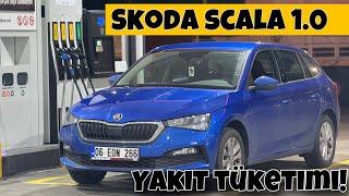 Skoda Scala 1.0 TSI Yakıt Tüketimi! | Sivas-Ankara Yolculuğu! | Otomobil Günlüklerim