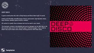 Deep Disco // Disco Grooves, Loops and MIDI // Cycles & Spots