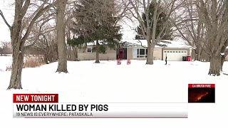 Ohio woman killed, partially eaten by neighbor’s pigs