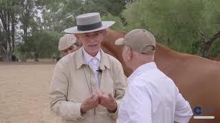 Yeguada Marqués de Villarreal en Todo Caballo