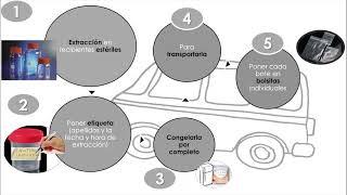 6  EXTRACCIÓN MANUAL