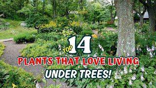 Top 14 Plants that LOVE Living Under Trees!  // Gardening Ideas