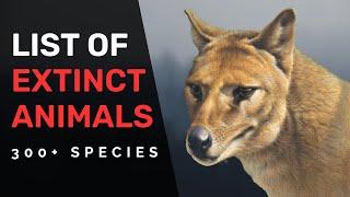 Extinct Animals of the last 500 years (300+ Species)