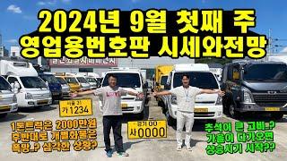 2024년 9월 첫째 주 영업용번호판 시세와 전망 "1톤트럭 개별화물 폭망..? 추석 지나면 상승?!"