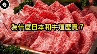 日本和牛的歷史只有60年，卻發展成全球最貴的牛肉，為什麼和牛這麼昂貴？