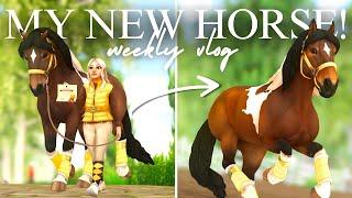 Week With My NEW Horse!  Training, Lunging and More! II SSO RRP