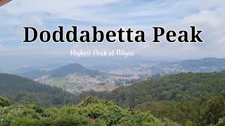 Doddabetta peak -Ooty| Highest peak in Nilgiris| Must Visit Places in Ooty