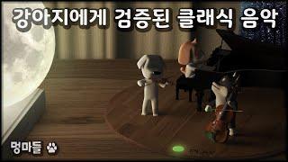 #멍마들  강아지가 가장 좋아하는 음악! 검증된 클래식 음악 - Dog's favorite music