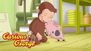 The cutest little pig  Curious George  Kids Cartoon  Kids Movies