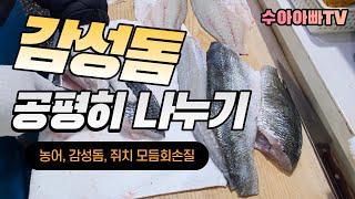 [감성돔 나누기] 2키로씩 주문 2개 반반 나누면 공평. How to fillet Sea bass, Black seabream, Foolfish  [수아아빠TV]