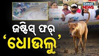 "Justice for Dhoulu" Campaign Launched in Bhubaneswar After Dog's Brutal Death