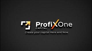 ProfiXone Capital presentation for investors