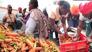 Được vụ cà rốt Maria mang  lên chợ đầu mối bán được bao nhiêu tiền || Tony Phong cuộc sống Châu Phi