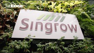 Tour the world's first indoor vertical strawberry nursery at Singrow | The Edge Singapore