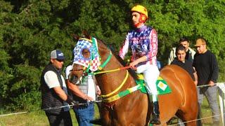 Gran Triunfo De ORO PURO vs DEMONIO GRANITE/ Cancha Hipica El Liuco- 13/10/2024