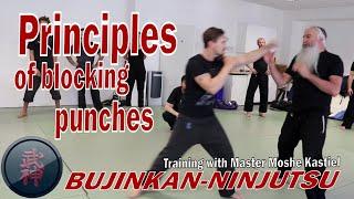 Bujinkan-Ninjutsu: Basic Thoughts about blocking punches