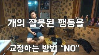 "NO"를 가르치는 방법.#2