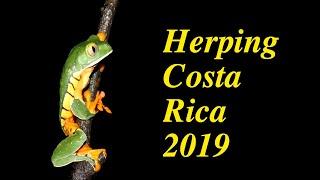 HERPING COSTA RICA (2019) WildLife vlog Part 2