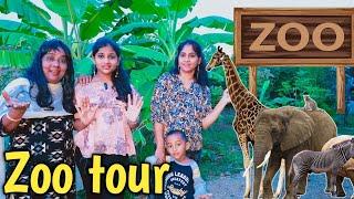 We are going to zoo tour | comedy video | funny video | Prabhu sarala lifestyle