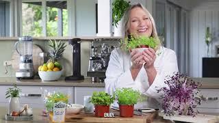 How to use Pocket Herbs with Chef Samantha Gowing