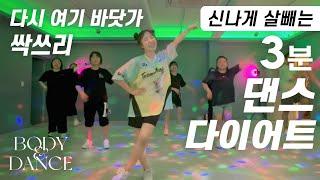 싹쓰리(SSAK3) - 다시 여기 바닷가 | 신나게 운동하는 3분 댄스다이어트 홈트 | 3-Minute Zumba Dance Workout