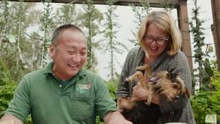 Professional Landscape Designer Jerry Wang On Why He Loves Garden Designs