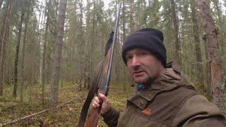 Редкое событие: Охота на глухаря с подхода. Неожиданный результат!