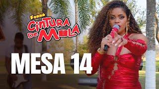 MESA 14 - Forró Cintura de Mola (AO VIVO NO SÍTIO)