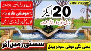 Land for sale | 20 Acre Cheap Agriculture Land For Sale | Zarai zameen