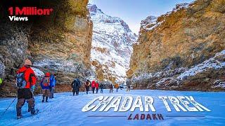 Chadar Frozen River Trek documentary by Trek The Himalayas (TTH)