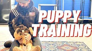 NOT YOUR AVERAGE PUPPY TRAINING!! BELGIAN MALINOIS // ANDY KRUEGER