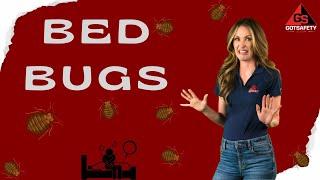 Bed Bugs: Identification, Health Risks, and Effective Treatment #toolboxtalk #safetytopic