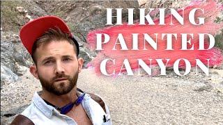 COACHELLA VALLEY HIKING | The Painted Canyon