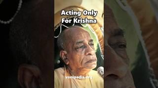 Acting Only For Krishna - Prabhupada 0904