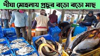 Digha Mohona | দীঘা মোহনায় বড়ো বড়ো মাছ |Digha Mohona Fish Market | Big Size Fish in Digha Mohona