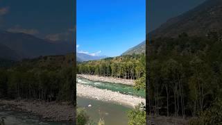 Beas river near Kullu #shorts