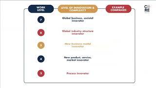 Levels of Innovation in Business