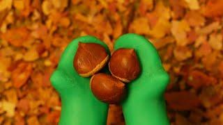 Baked chestnuts/ASMR/Claymation