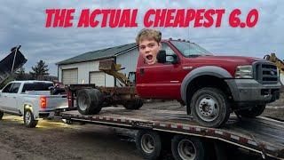 I Bought Another 6.0 Powerstroke!! VERY CHEAP!!