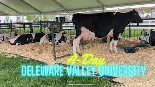 A-Day at Delaware Valley University