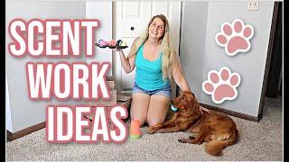 DIY At Home Scent Work For Dogs | Ideas & Exercises For Nose Work