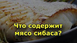 Что содержит мясо сибаса?